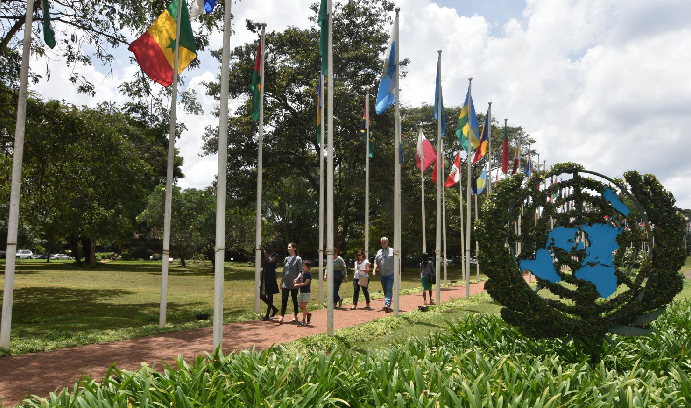 NGO Committees in Other Regions